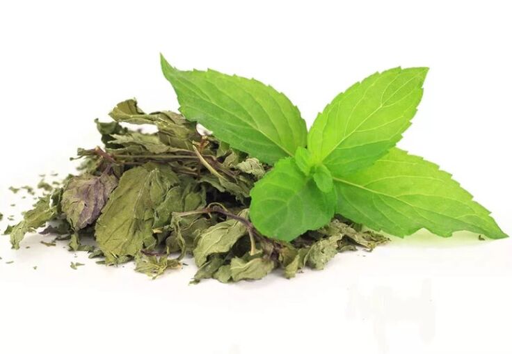 Abslim'de yeşil çay